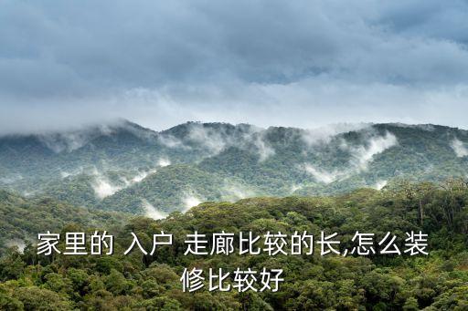 家里的 入户 走廊比较的长,怎么装修比较好