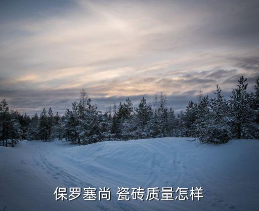 保罗塞尚 瓷砖质量怎样