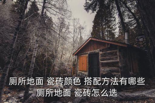 厕所地面 瓷砖颜色 搭配方法有哪些厕所地面 瓷砖怎么选