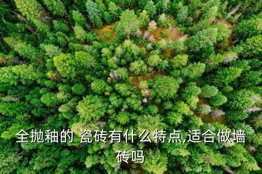 瓷砖抛釉面效果图