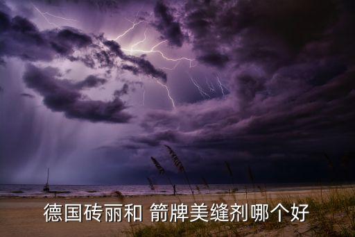 德国砖丽和 箭牌美缝剂哪个好
