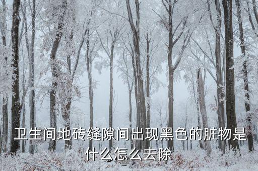  卫生间地砖缝隙间出现黑色的脏物是什么怎么去除