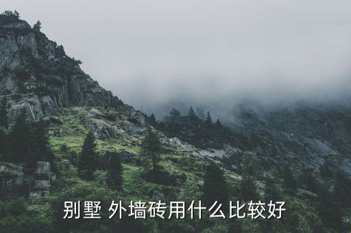 外墙面瓷砖效果图图片,大厅墙面贴瓷砖效果图大全