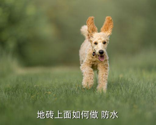 卫生间铺瓷砖防水做法视频,重铺卫生间瓷砖要做防水吗