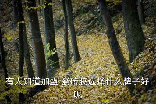 建材瓷砖代理品牌,海口城西建材瓷砖品牌有哪些
