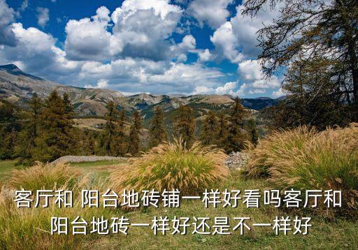 矿坑花园阳台瓷砖效果图