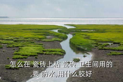 怎么在 瓷砖上粘 瓷砖 卫生间用的,要 防水,用什么胶好
