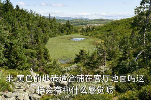 黄色瓷砖灯光效果图,卫生间黄色瓷砖装修效果图