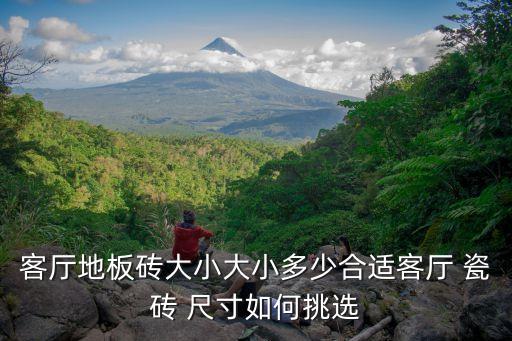 房间瓷砖尺寸效果图,房间仿木地板瓷砖效果图