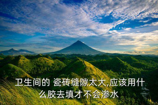  卫生间的 瓷砖缝隙太大,应该用什么胶去填才不会渗水