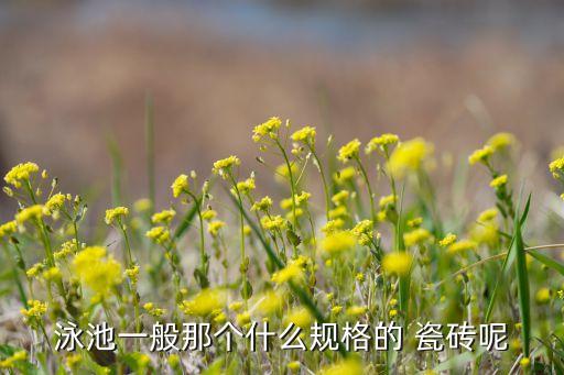东莞游泳池瓷砖品牌,被游泳池的瓷砖割伤怎么办