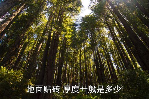 卫生间瓷砖木板厚度